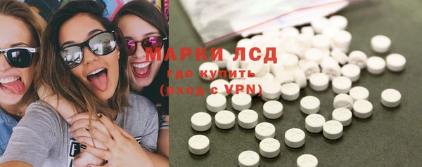 стаф Бородино