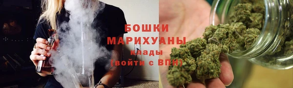 стаф Бородино