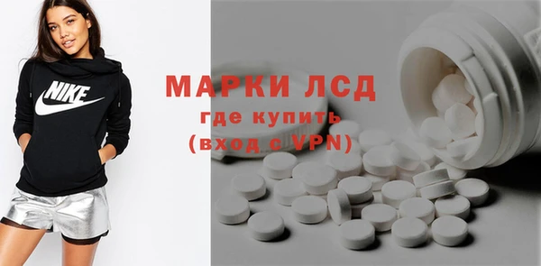 стаф Бородино