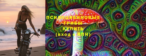 стаф Бородино