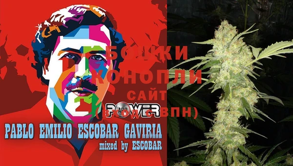 стаф Бородино