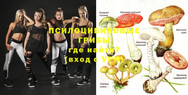 хмурый Бронницы