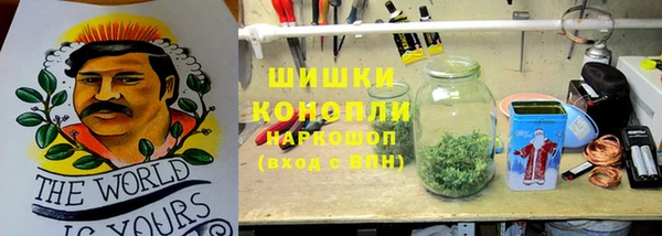 стаф Бородино